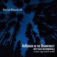 ArRanger in the Brainforest: Bite-Sized Instrumentals