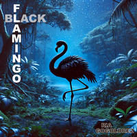 Black Flamingo