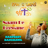 Naam De Deewane