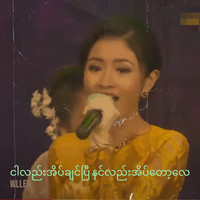 ငါလည်းအိပ်ချင်ပြီ နင်လည်းအိပ်တော့လေ