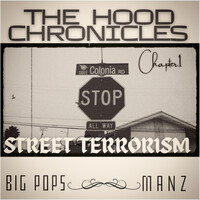 The Hood Chronicles Chapter 1 Street Terrorism