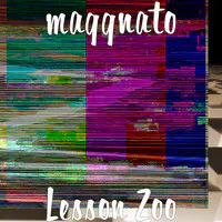 Lesson Zoo