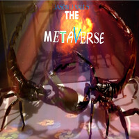 The Metaverse