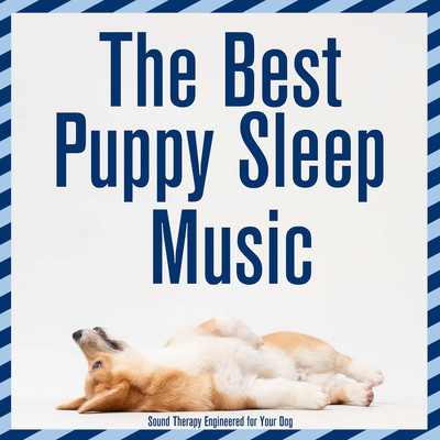 Kissland Song|Dog Music Dreams|The Best Puppy Sleep Music : Sound ...