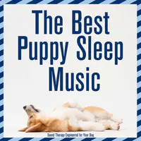 The Best Puppy Sleep Music : Sound Therapy Engineered for Your Dog