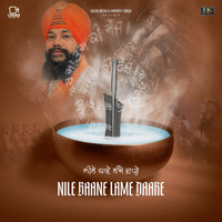 Nile Baane Lame Daare