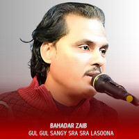 Gul Gul Sangy Sra Sra Lasoona