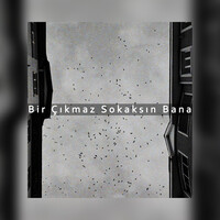 Bir Çıkmaz Sokaksın Bana