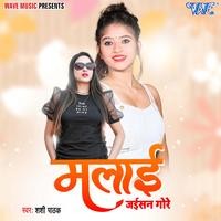 Shachi Pathak: albums, songs, playlists