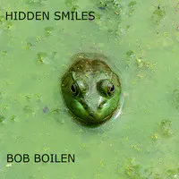 Hidden Smiles