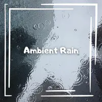 Ambient Rain