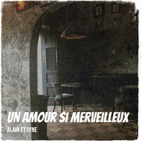 Un amour si merveilleux