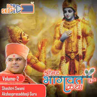 Shreemad Bhagwat Katha (Rangpur Amreli) Vol 2