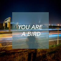 You Are a Bird