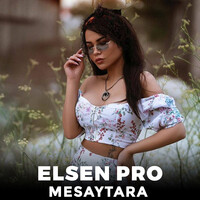 emili mesaytara mp3 download