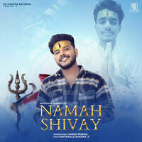 Namah Shivay