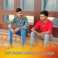 Teri Sakal Mainka Si Laage