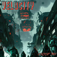 Velocity