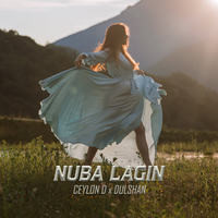 Nuba lagin