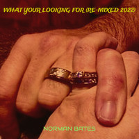 What Your Looking for (Re-Mixed 2022)