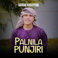 Palnila punjiri