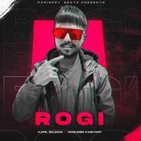 Rogi