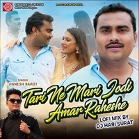 Tari Ne Mari Jodi Amar Rehse Lofi Mix