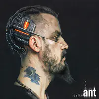 Ant