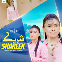 Shareek