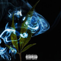 Daily Routine Song Download: Play & Listen Daily Routine all MP3 Song ...