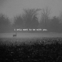 I Only Want to Be with You.