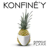 Konfiné'y