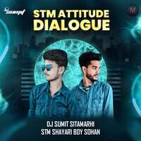 Stm Attitude Dialogue