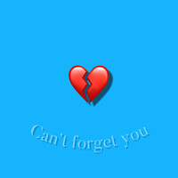 Can't Forget You