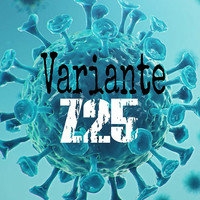 Variante Z25