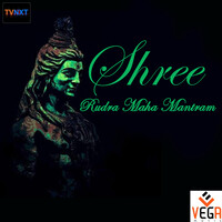 Shree Rudra Maha Mantram
