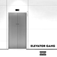 Elevator Gang