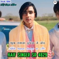 Kaif Singer SR 4829