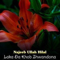 Laka Da Khob Zhwandona