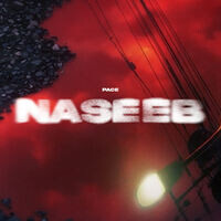 Naseeb