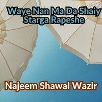 Waye Nan Ma Da Shaiy Starga Rapeshe