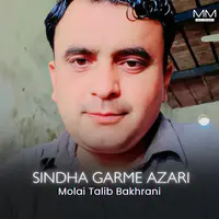 Sindha Garme Azari