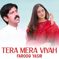 Tera Mera Viyah