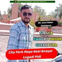 City Park Maya Reel Bnayai Lugadi Pidi