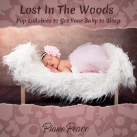 Lost in the Woods ~ Pop Lullabies to Get Your Baby to Sleep