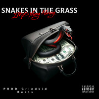 Snakes in the Grass