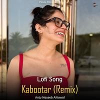 kabootar dj remix mp3 song download