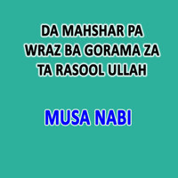 Da Mahshar Pa Wraz Ba Gorama Za Ta Rasool Ullah