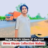 Shree Shyam Collection Mahwa