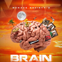 BRAIN